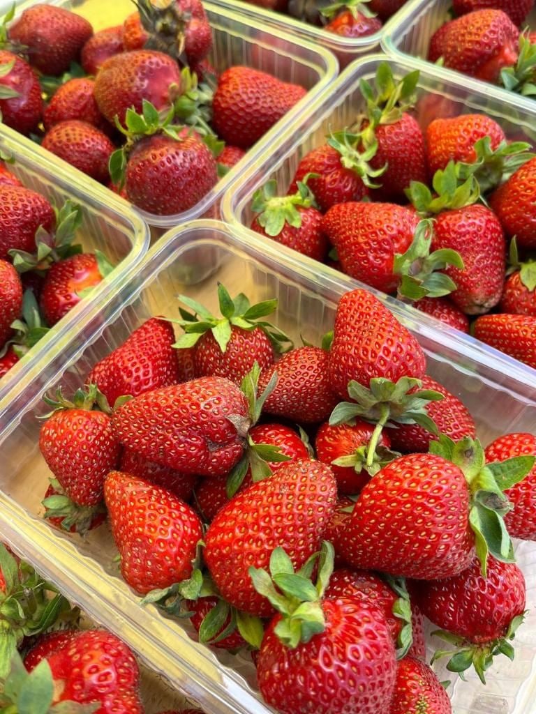 Ягода от хозяйства «Белые скалы»