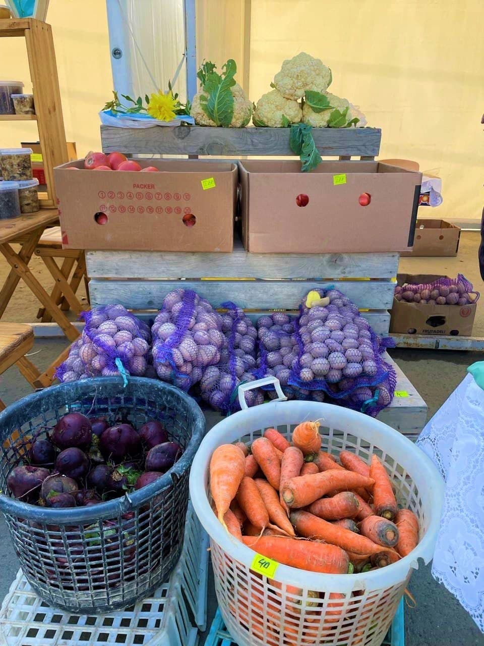 Продукция растениеводства от КФХ «Пион»