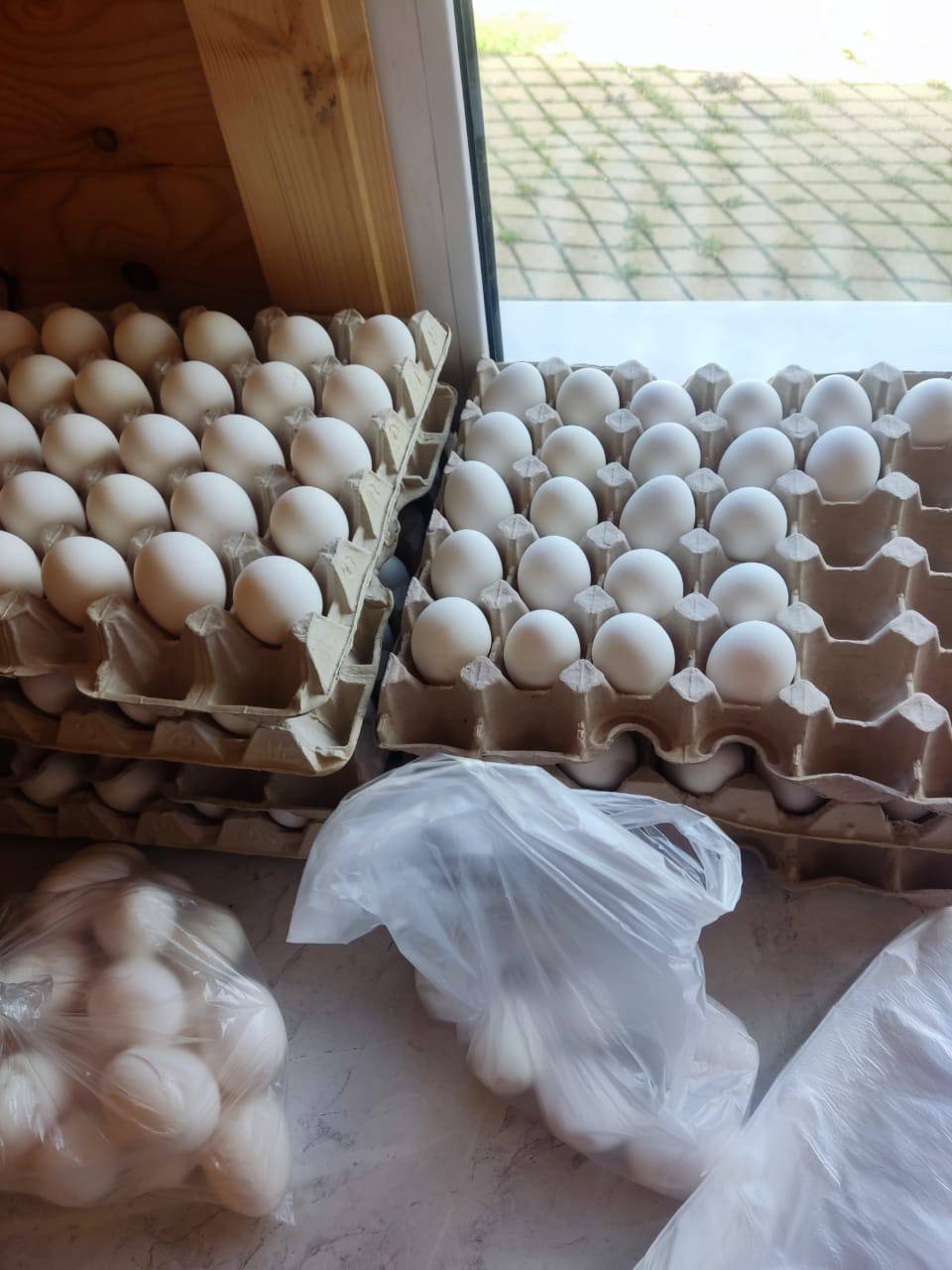 Продукция птицеводства