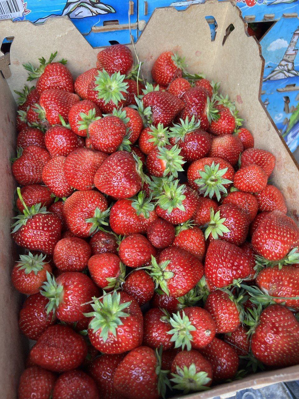 Клубника от Наташи