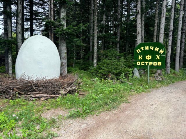 Сахалинка автоматизировала птицеферму благодаря гранту