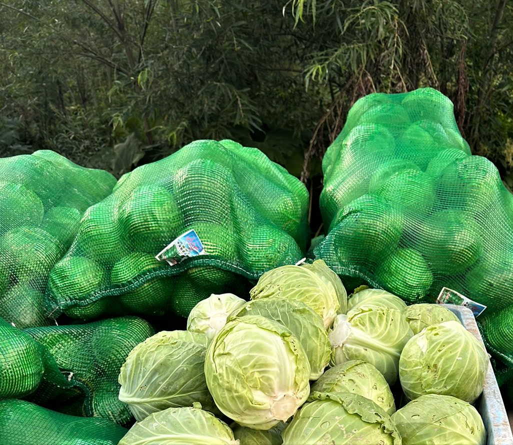 Сезонные овощи от ИП Ю Ман Су