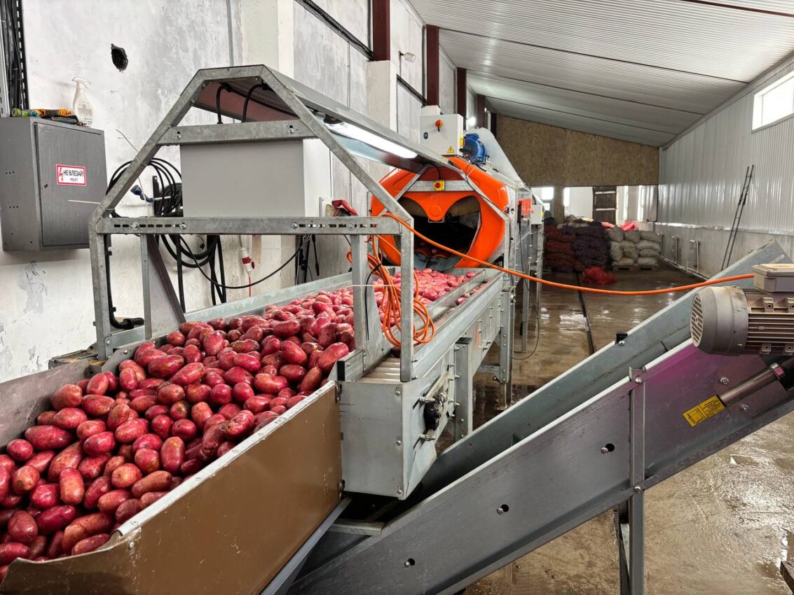 Продукция растениеводства от СПССПОК «Пограничный»