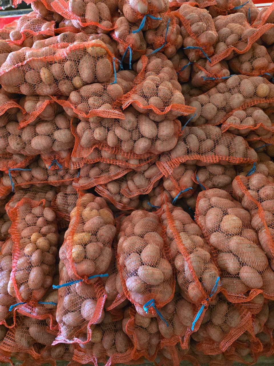 Фермерский картофель от СППССОК «Фермерский Дворик»