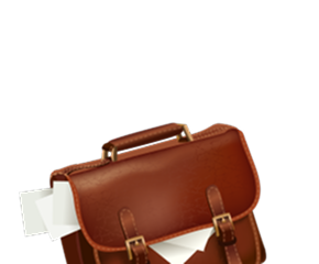 Консультирование при составлении бизнес-плана для получения государственной поддержки